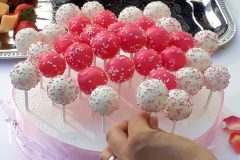 20180420_173858-scaled