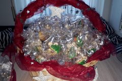 20171205_093404-scaled