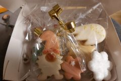 20201210_220313-scaled